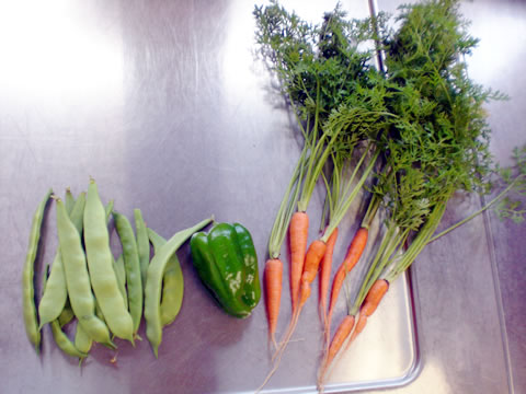 野菜収穫1-03