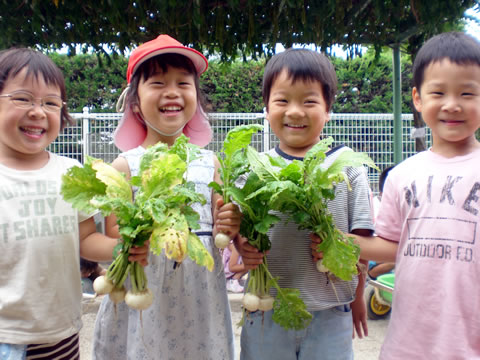 野菜収穫2-03