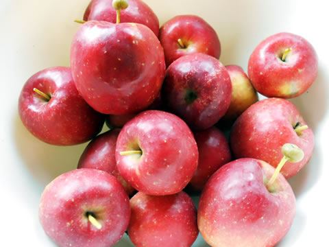 りんご収穫06
