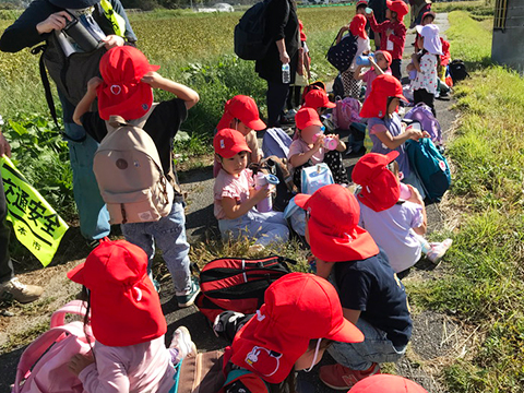 歩け歩け遠足10