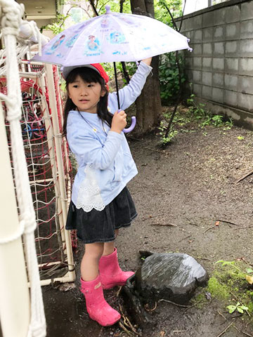 6月のいちょうさん04