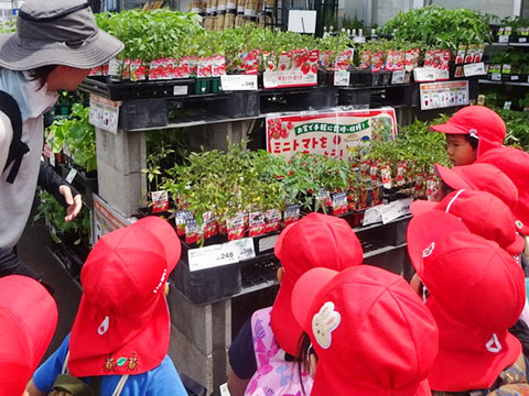 野菜と虫とすみれさん01