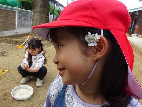 ４月のすみれさん09