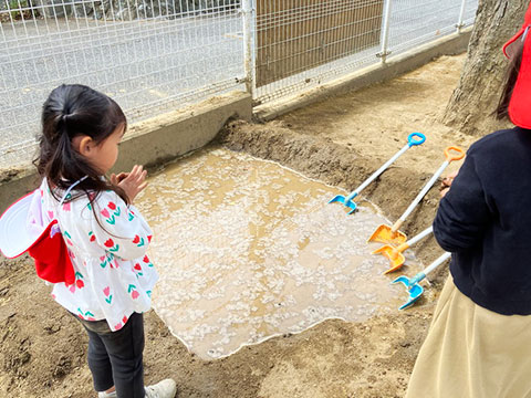 ４月のすみれさん11