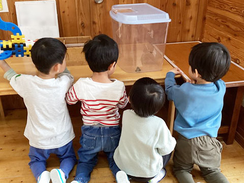たのしいこと01